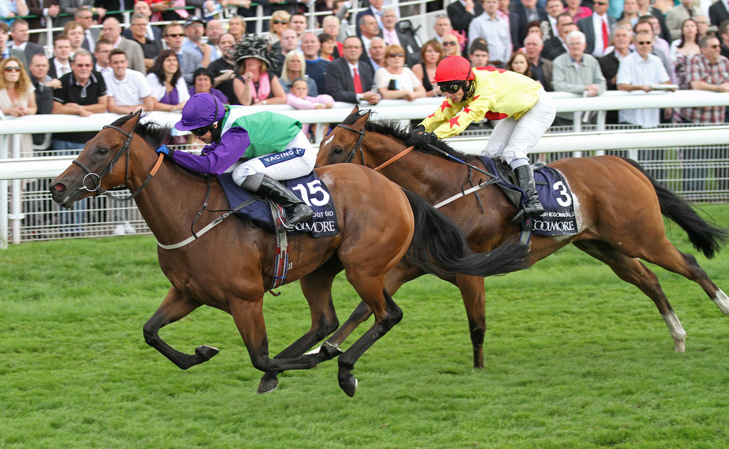 herringswell bloodstock centre newmarket